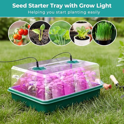 Hanaoyo 96 Cells Seed Starter Tray with Lights, 2 Packs Seed Starter Kit with Humidity Vented Domes and High Lid, Adjustable Brightness Germination Kit for Indoor Greenhouse Seed Starter - size: 2 Pack With Light