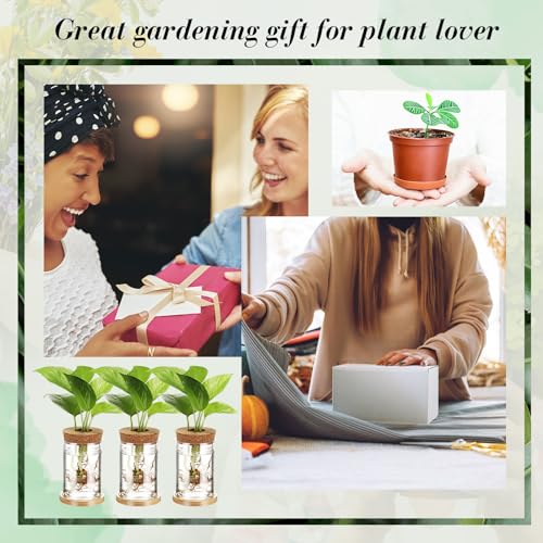 Baderke 12 Pack Propagation Vases for Plants, Classic Style - color: Classic Style