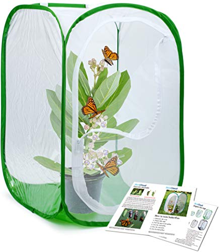 RESTCLOUD Professional Butterfly Habitat Insect Cage Caterpillar Enclosure Pop-up Polyester Bottom for Easier Clean - size: 15.7 x 15.7 x 23.6 inches