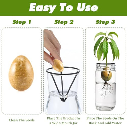 Tyqour 3 Pcs Avocado Tree Growing Kits - Avocado Seed Starter Vase Rack, Seed Holder for Mason Jar of Wide-Mouth, Triangular Metal Bracket for Home Office, Gardening Lovers Gift (Black,Without Jar)