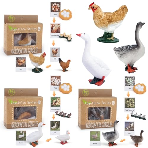 Montessori Life Cycle Animal Figurines Learning & Education Toys, Plastic Insect Life Cycle Toys, Preschool Learning Activities (Hen Goose Duck) - color: Hen Goose Duck
