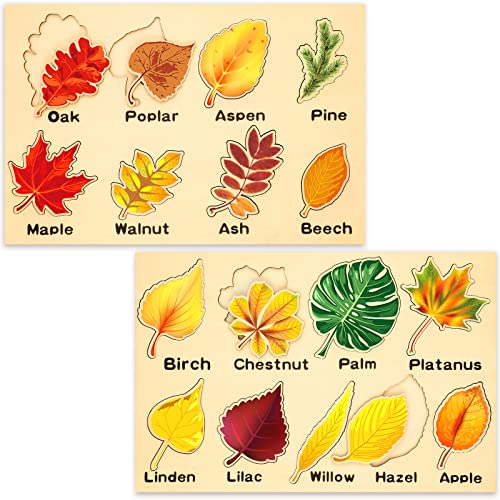 Kathfly 2 Pcs Montessori Leaf Wooden Puzzles Tree Shapes Toy, Cute - style: Cute