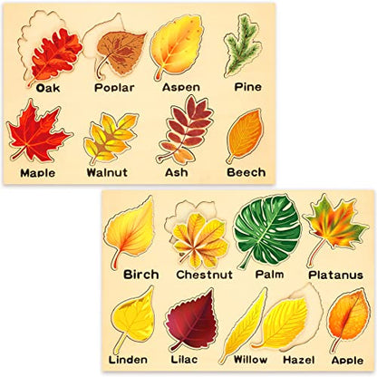 Kathfly 2 Pcs Montessori Leaf Wooden Puzzles Tree Shapes Toy, Cute - style: Cute