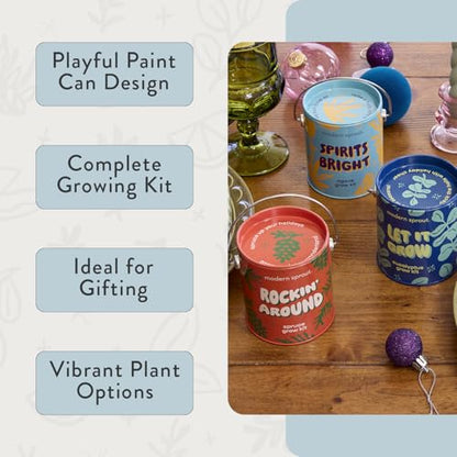 Modern Sprout Complimentary Color Grow Kits - Seed Starter Kit, Pack of 3 - size: Pack of 3