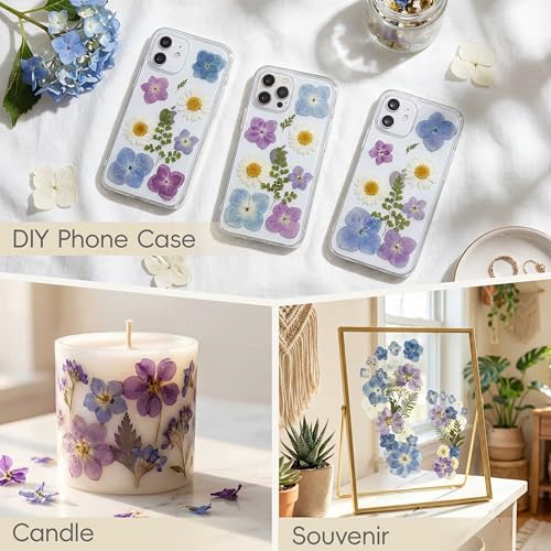 LUXEEASE 140P Hydrangea Dried Pressed Flowers - color: Hydrangea 140p