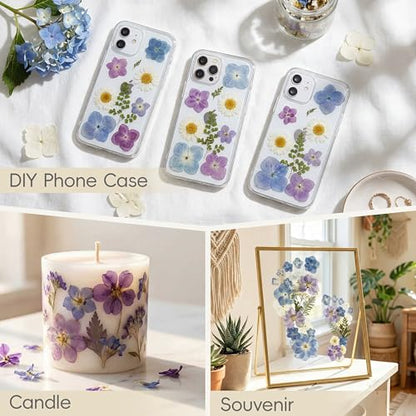 LUXEEASE 140P Hydrangea Dried Pressed Flowers - color: Hydrangea 140p