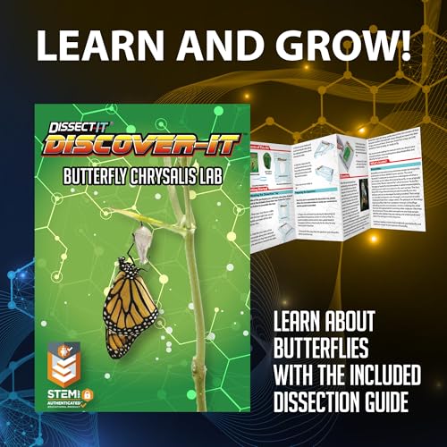 Discover it Butterfly, Science Lab Kit, STEM Toys for Kids, Ages 5+ - style: Butterfly