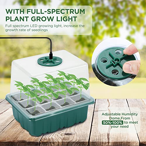 Seed Starter Tray with Light, 6PCS Seed Starter Kit with Grow Light, Seedling Starter Trays with Humidity Domes, Covers Height 3.9", Indoor Gardening Plant Germination Trays - color: Green