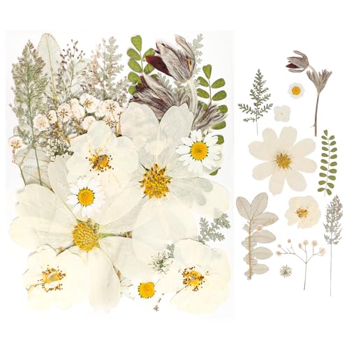 50Pcs Dried Pressed Flowers Real Pressed Flowers Natural Dry Leaves Bulk Mixed Colorful Herbs Kit with Tweezers for Scrapbooking DIY Candle Jewelry Crafts Making Nails (White) - color: White