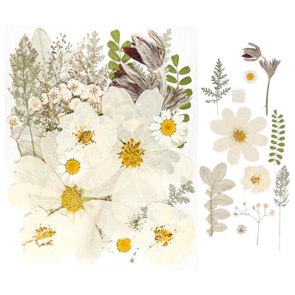 50Pcs Dried Pressed Flowers Real Pressed Flowers Natural Dry Leaves Bulk Mixed Colorful Herbs Kit with Tweezers for Scrapbooking DIY Candle Jewelry Crafts Making Nails (White) - color: White