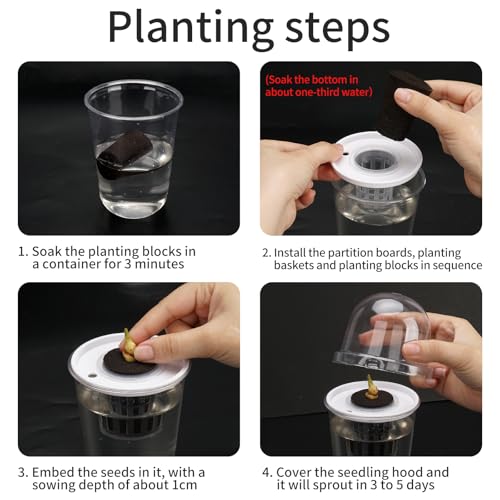 Clear Hydroponic Nursery Pots with Humidity Domes & Rrow Sponge 6-Pack