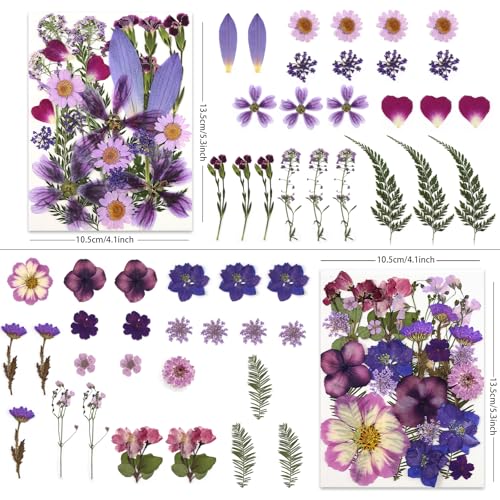 LUXEEASE 100P Purple Dried Pressed Flowers - color: Purple Medley 100p