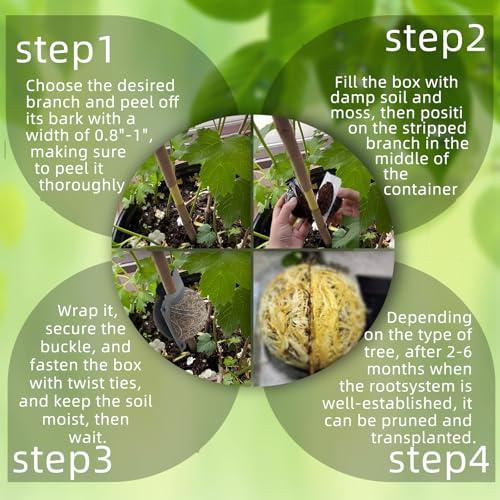 10 PCS Air Layering Propagation Kit -Thicker Version with Reusable Half Transparent Plant Rooting Propagation Ball & Plastic Twist Ties- Plant Grafting Rooting Grow Ball(Size: Small) - size: Small