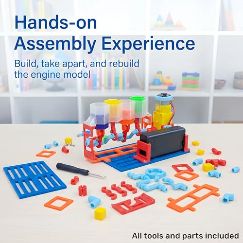 4-Cylinder Engine Model Kit for Kids 8-14, STEM DIY Assembly with Pistons