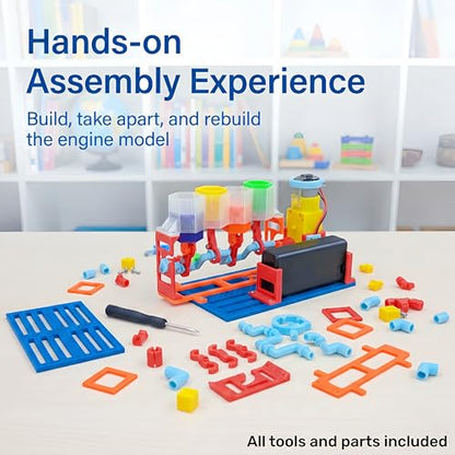 4-Cylinder Engine Model Kit for Kids 8-14, STEM DIY Assembly with Pistons