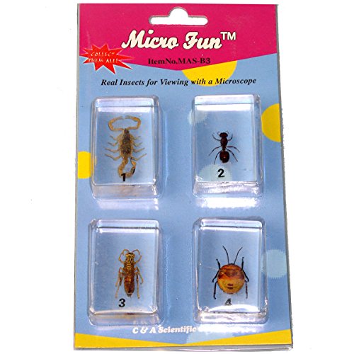 Bugs Specimen #1 Set
