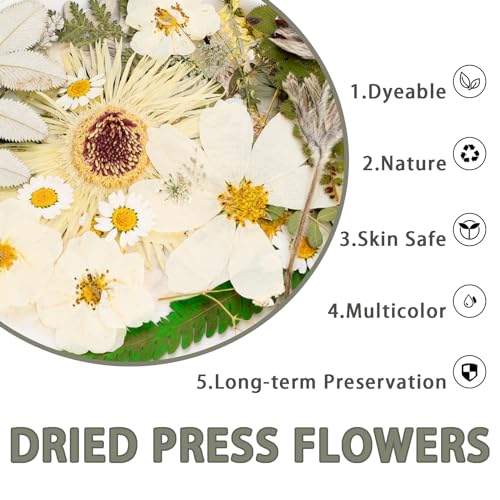 50Pcs Dried Pressed Flowers Real Pressed Flowers Natural Dry Leaves Bulk Mixed Colorful Herbs Kit with Tweezers for Scrapbooking DIY Candle Jewelry Crafts Making Nails (White) - color: White