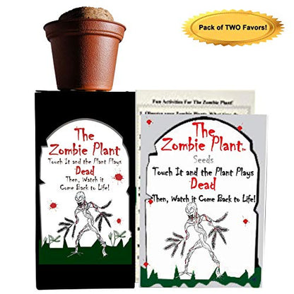 Zombie Plant Party Favors (2) with 2 Extra Zombie Plant Seed Packets to Grow Your own Zombie Plants Indoors!