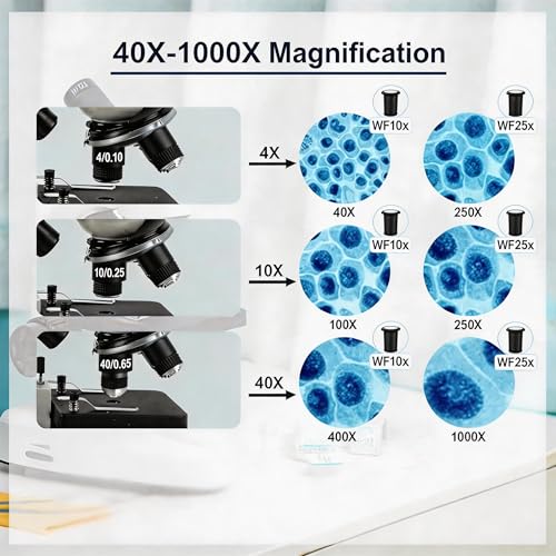 Microscope for Adults Kids Students, High-Power Biological Compound Microscope Kit, Metal-Body, with Movable Calipers, Abbe Condenser, for School Lab & Home Schooling, with Slides Set & Phone Adapter