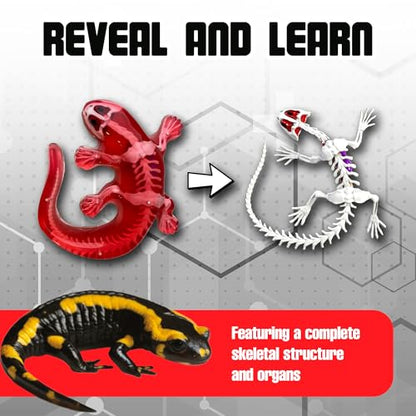 Top Secret Toys Dissect-It Mini Labs Salamander Dissection Kit for Kids, Realistic Synthetic Kids Science Kit - On, Biology and Animal Anatomy, STEM Toy, Ages 6+ - style: Mini Salamander