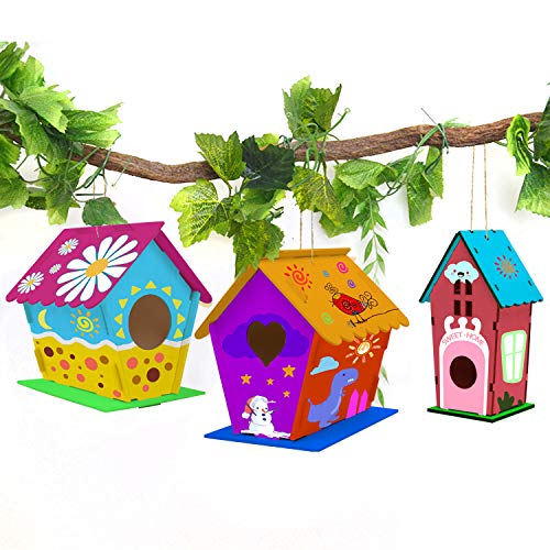 hapray 6 Pack Bird House Crafts for Kids Ages 5-8 8-12, Buildable DIY Birdhouse Kit for Children to Build, 3+ Summer Arts and Craft Projects with Paint, Boy Girl Gift Christmas
