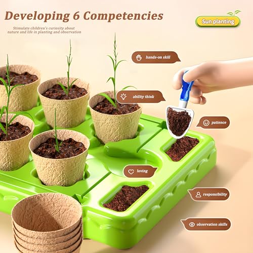 EXBEPE Kids Plant Growing Kit Greenhouse Growing Set with Drip Irrigation System and Grow Light Science Educational DIY Indoor Plant Gardening Toy for Kids