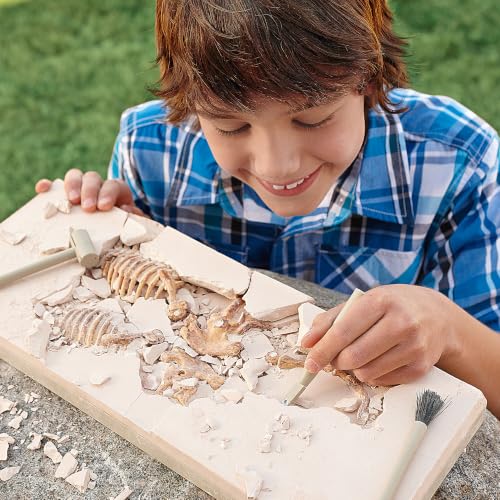 Dig It Up! T‑Rex Excavation Kit – 3D Dinosaur Skeleton STEM Toy