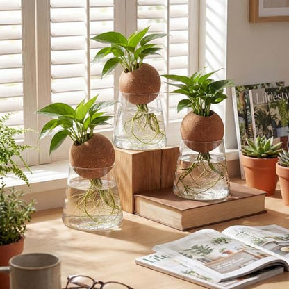 Baderke 3 Pcs 3.15 Inches Glass Plant Propagation Stations with Spherical Lid Glass Jars Plant Propagation Vases Hydroponic Spherical Cork Planter for Indoor Home Office Desktop Decor(Conical) - size: 3.15 Inches, style: Conical