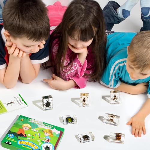 12Pcs Insect Specimens Set, Real Insect Taxidermy in Resin Specimens with Magnifier & Info Cards, Unique Science Educational Bugs, Oddities Gift - color: 12 Pcs Insect Set 1