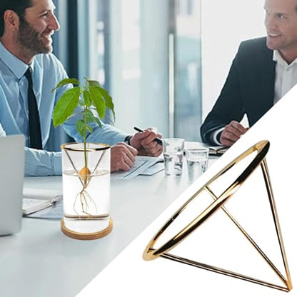 Avocado Starter Rack - Triangular Root Germination Bracket | Avocado Root Propagation Rack,for Home Landscape Garden Living Room Bedroom Balcony Backyard Patio Greenhouse - color: Gold
