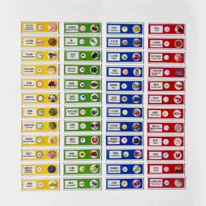 48 Prepared Microscope Slides Set, Insects Animal Plant Fruit Vegetable Specimens, Biological Learning Resource Specimens for Beginner Classroom Basic Science Education (MS-01)