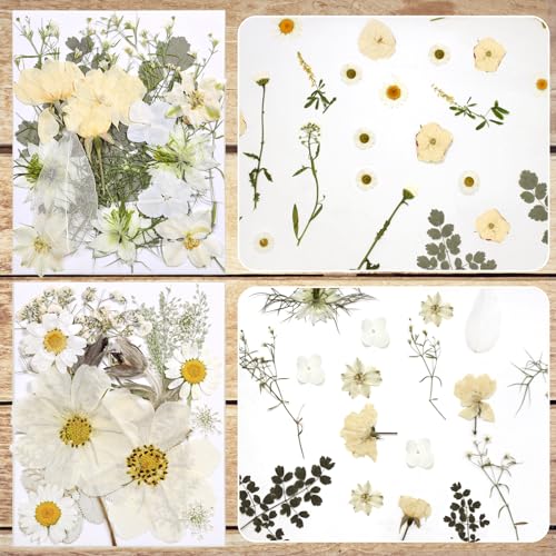 Dried Flowers for Resin - size: 80 pcs White Dried Flowers
