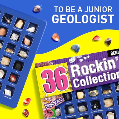 Gamerside Rock Collection Box 36 Cool Rocks, STEM Science Kit for Kids 6+ - color: 36 Rocks