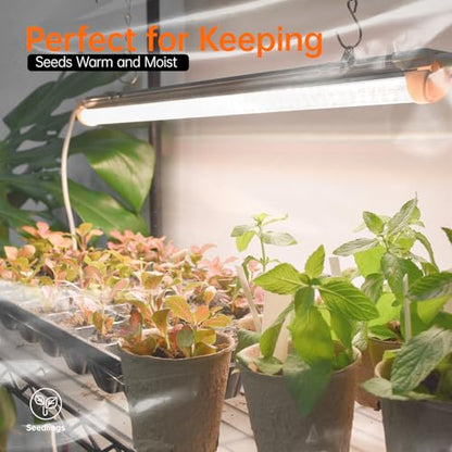 Bstrip Indoor Greenhouse with Grow Light, 35.4x13.8x59in - color: transparent, size: 59" H x 13.8" W x 35.4" L