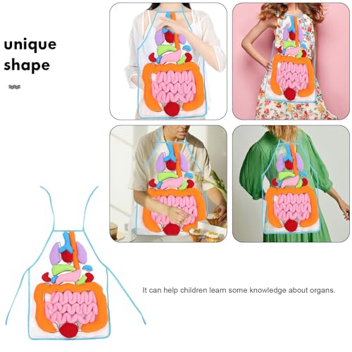 POPETPOP Human Organs Apron 3D Anatomy Teaching Apron for Kids Educational Learning Tool with Removable Plush Organs Preschool and Kindergarten Science Kit