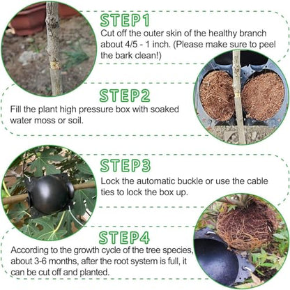 12 PCS Large Rooting Balls for Trees for Fast Propagation - size: Large