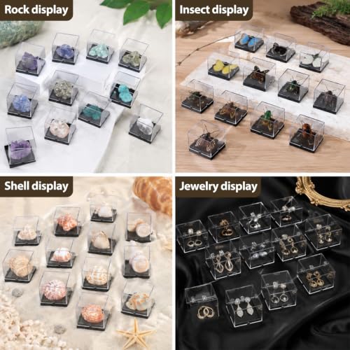 Cabilock 12 pack Mineral Specimen Box Clear Specimen Display Cases for Rock Samples 1.37 X 1.37 X 1.37 in Transparent Storage Cubes for Mineral Display and Collection