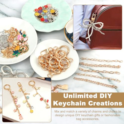 Olnverath 325Pcs Lip Gloss Keychain Making Kit with Charms, Including Keychain Clips Extender Chain Charms Jewelry Plier, Jewelry Making Kit for Custom Keychains and DIY Crafting(Alloy)