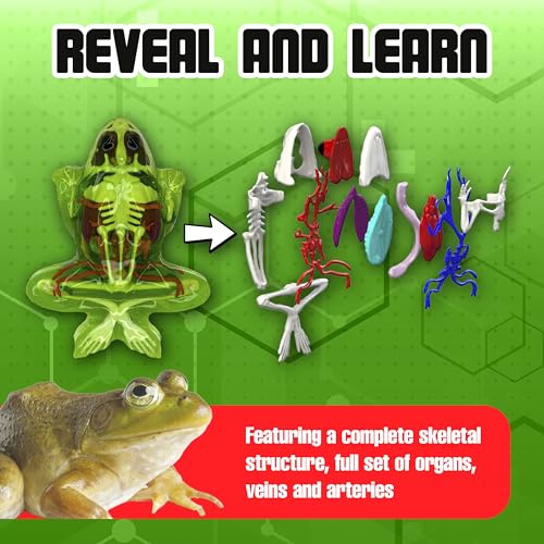 Dissect-It, Premium Frog Dissection Kit, STEM Toys for Kids, Ages 6+