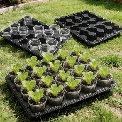 homenote 2 Pack 20 Cell Seed Starting Trays with 40 Clear 3 Inch Plant Pots - size: 3 Inch, style: 2 Pack Seed Starter Tray+Nursery Pots