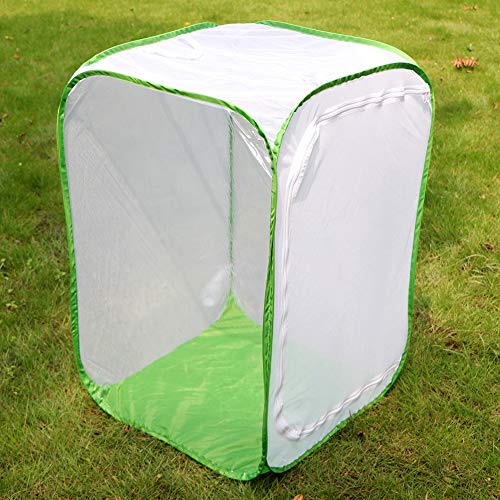 RESTCLOUD 36" Large Monarch Butterfly Habitat, Giant Collapsible Insect Mesh Cage Terrarium Pop-up 24 x 24 x 36 Inches - color: White with Green
