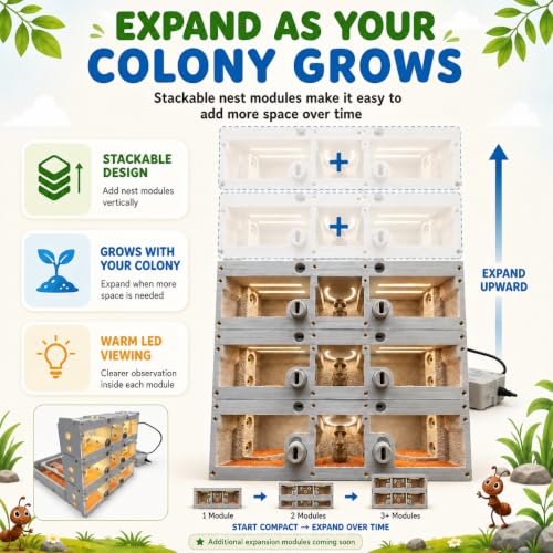 PADA Series 3D Light Nest Ant Farm with Activity Arena Modular Kit - size: Light Nest Kit