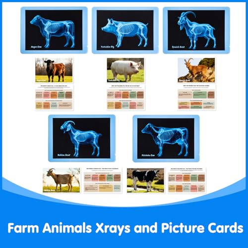 10 Pcs Farm Animal Xrays - Light Table Accessories - style: Farm Series