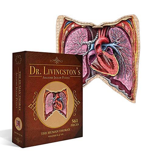 Human Thorax Anatomy Puzzle - Adult Jigsaw Puzzles Unique Gifts for Kids, Nurses, Doctors, Medical Students, Educational Science - 411 Piece Teen Floor Puzzle - Genius Games Dr. Livingston Body Model - style: The Human Thorax