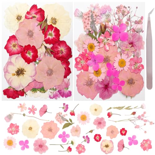 50Pcs Dried Pressed Flowers Real Pressed Flowers Natural Dry Leaves Bulk Mixed Colorful Herbs Kit with Tweezers for Scrapbooking DIY Candle Jewelry Crafts Making Nails (Pink) - color: Pink
