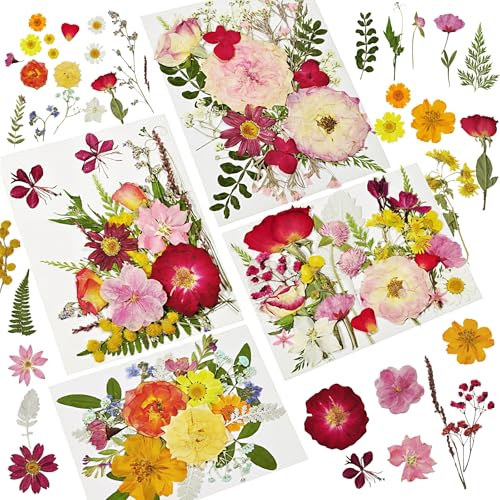 Dried Pressed Flowers for Resin - size: 85 pcs 26-Dried Flowers