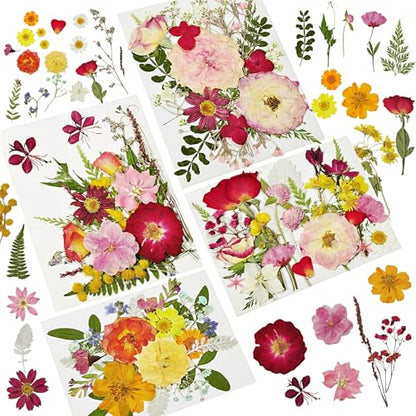 Dried Pressed Flowers for Resin - size: 85 pcs 26-Dried Flowers