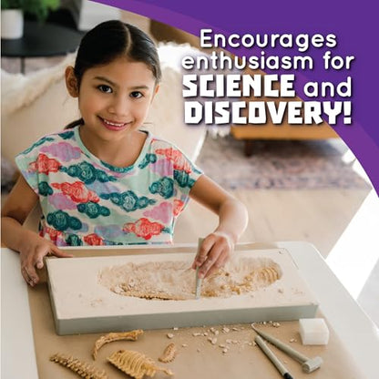 Dig It Up! T‑Rex Excavation Kit – 3D Dinosaur Skeleton STEM Toy