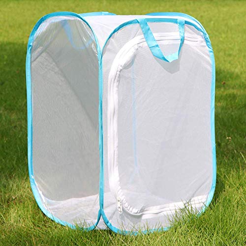 RESTCLOUD Insect and Butterfly Habitat Cage Pop-up 24 Inches Tall - color: White With Blue, size: 15.7 x 15.7 x 23.6 inches
