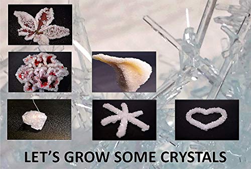 10-Student Classroom Crystal Kit. Safe and Easy to Use. Everything a Teacher Needs for 10 Students to Grow Two Different Crystal Shapes Like a Heart or Snowflake.